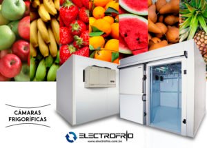Electrofrío - Cámaras frigoríficas para la conservación de frutas 2